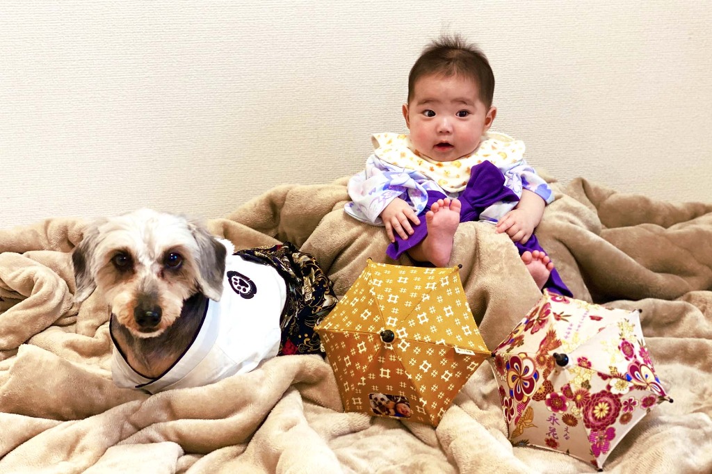 高座郡寒川町でお土産を買うなら湘南ミニ傘を！お祝い事のギフトやちょっとしたプレゼントにおすすめです。